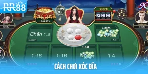 Hướng Dẫn Cách Chơi Xóc Đĩa Từ A Đến Z Dành Cho Người Mới