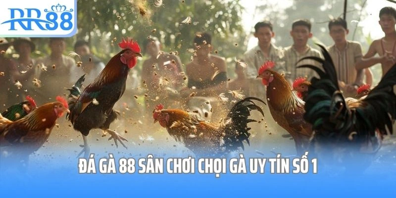 Đá gà 88 sân chơi chọi gà uy tín số 1