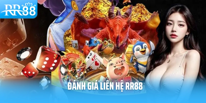 Đánh giá liên hệ RR88